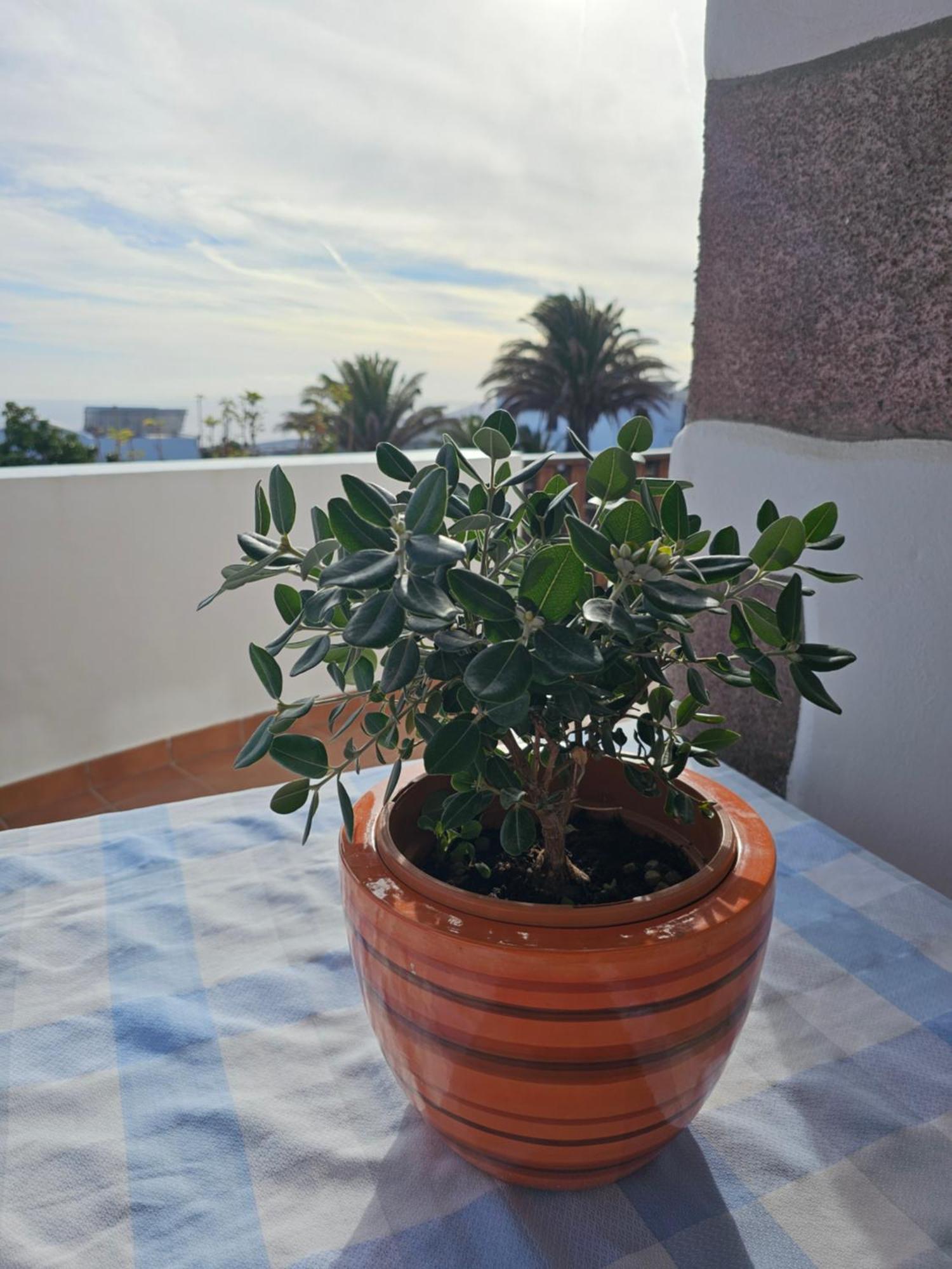 Casa Layka, con maravillosas vistas al mar La Asomada  Exterior foto